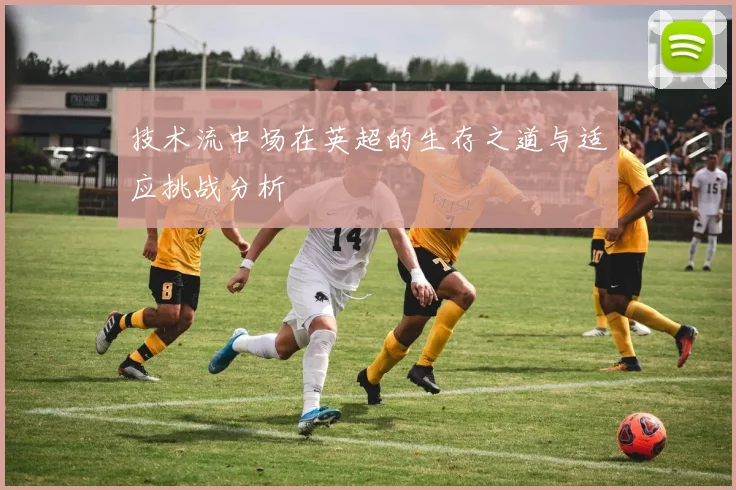 技术流中场在英超的生存之道与适应挑战分析