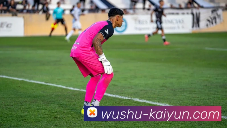 开云官网平台生态图