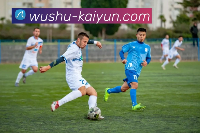 开云官网全站App